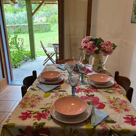 Casa Verde Country House Montescudaio Kültér fotó