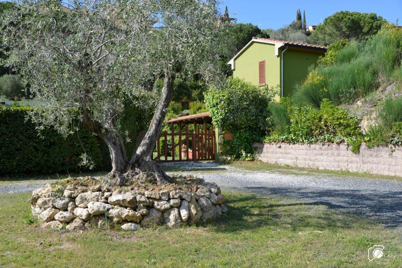 Casa Verde Country House Montescudaio Kültér fotó