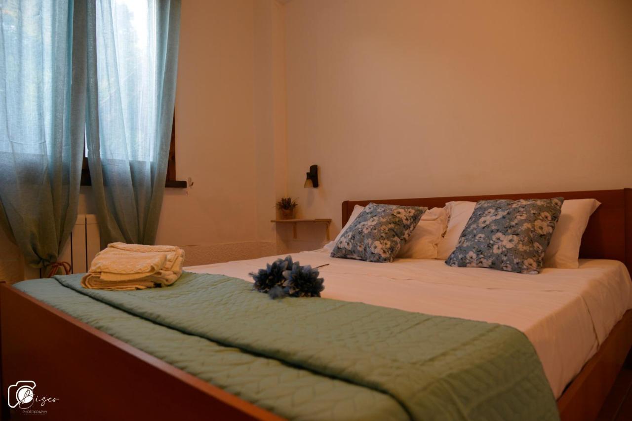 Casa Verde Country House Montescudaio Kültér fotó