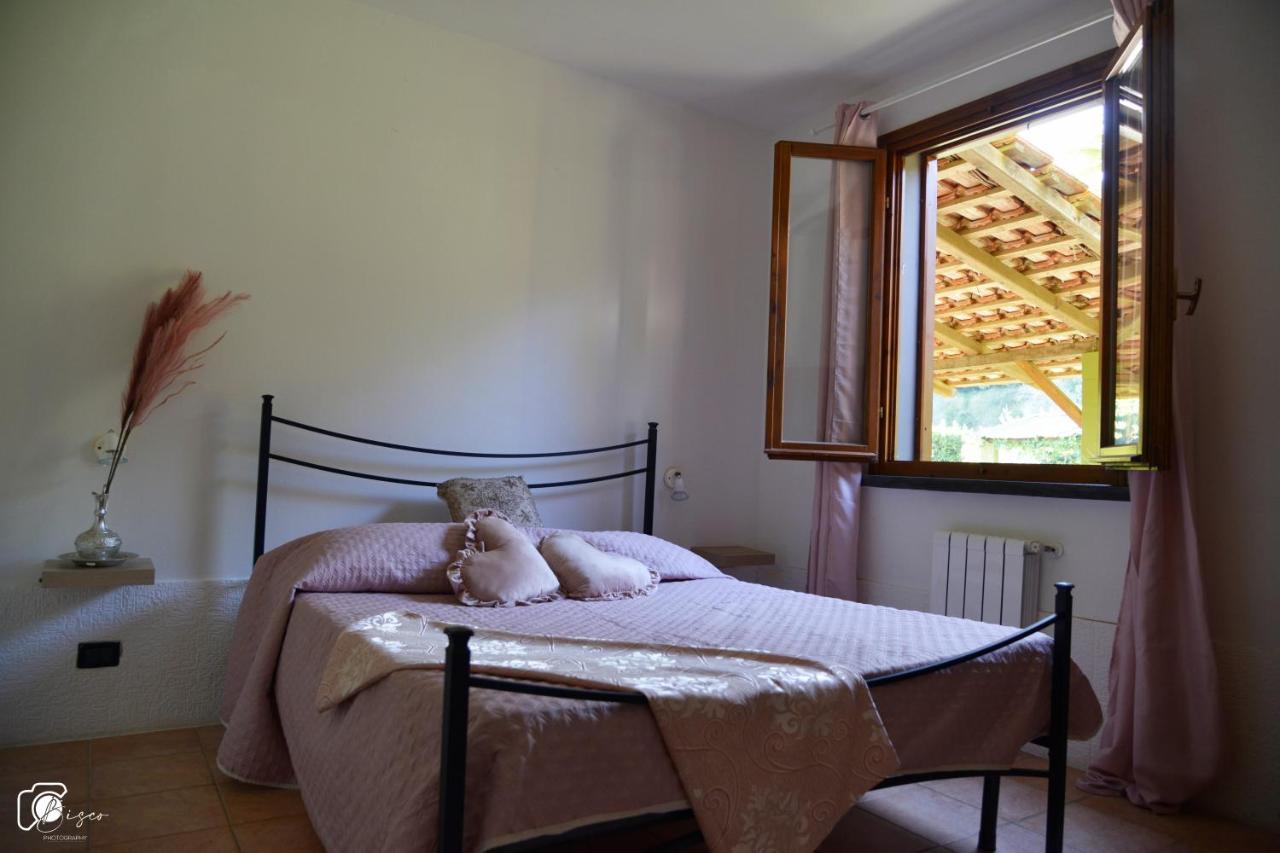 Casa Verde Country House Montescudaio Kültér fotó