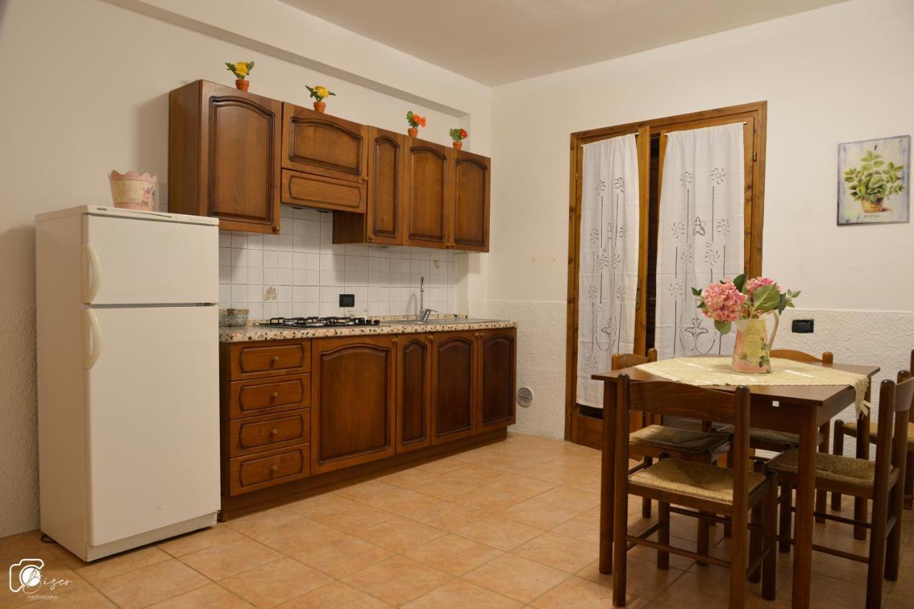 Casa Verde Country House Montescudaio Kültér fotó