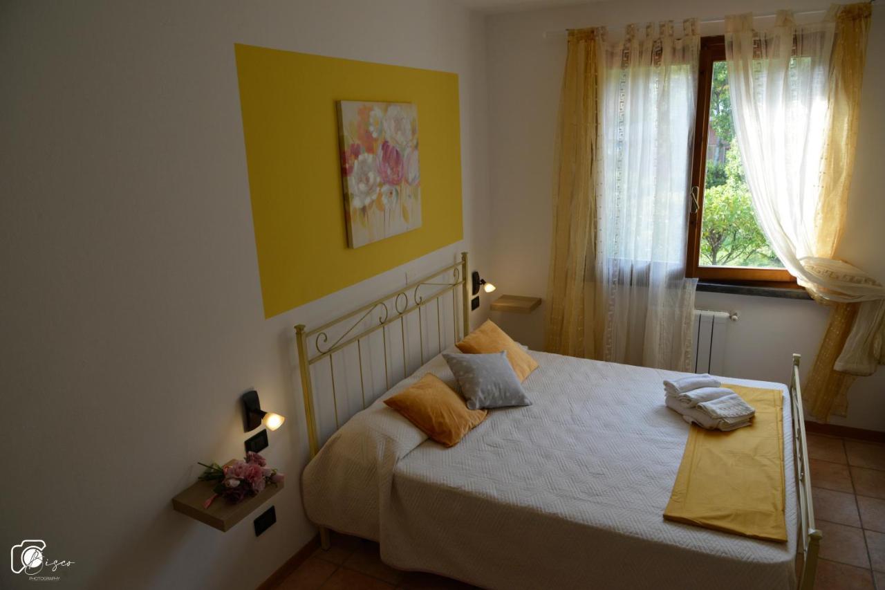 Casa Verde Country House Montescudaio Kültér fotó