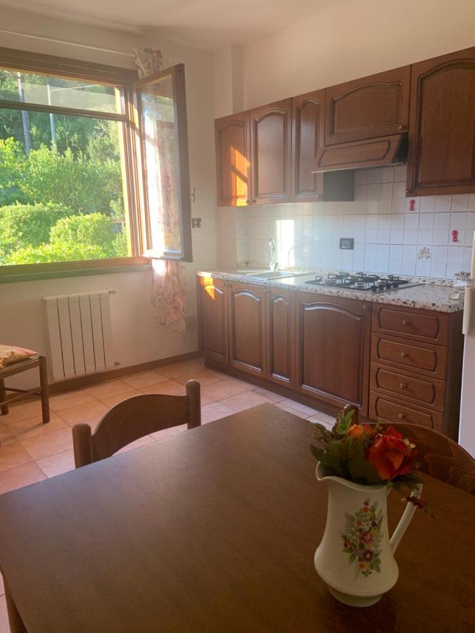 Casa Verde Country House Montescudaio Kültér fotó