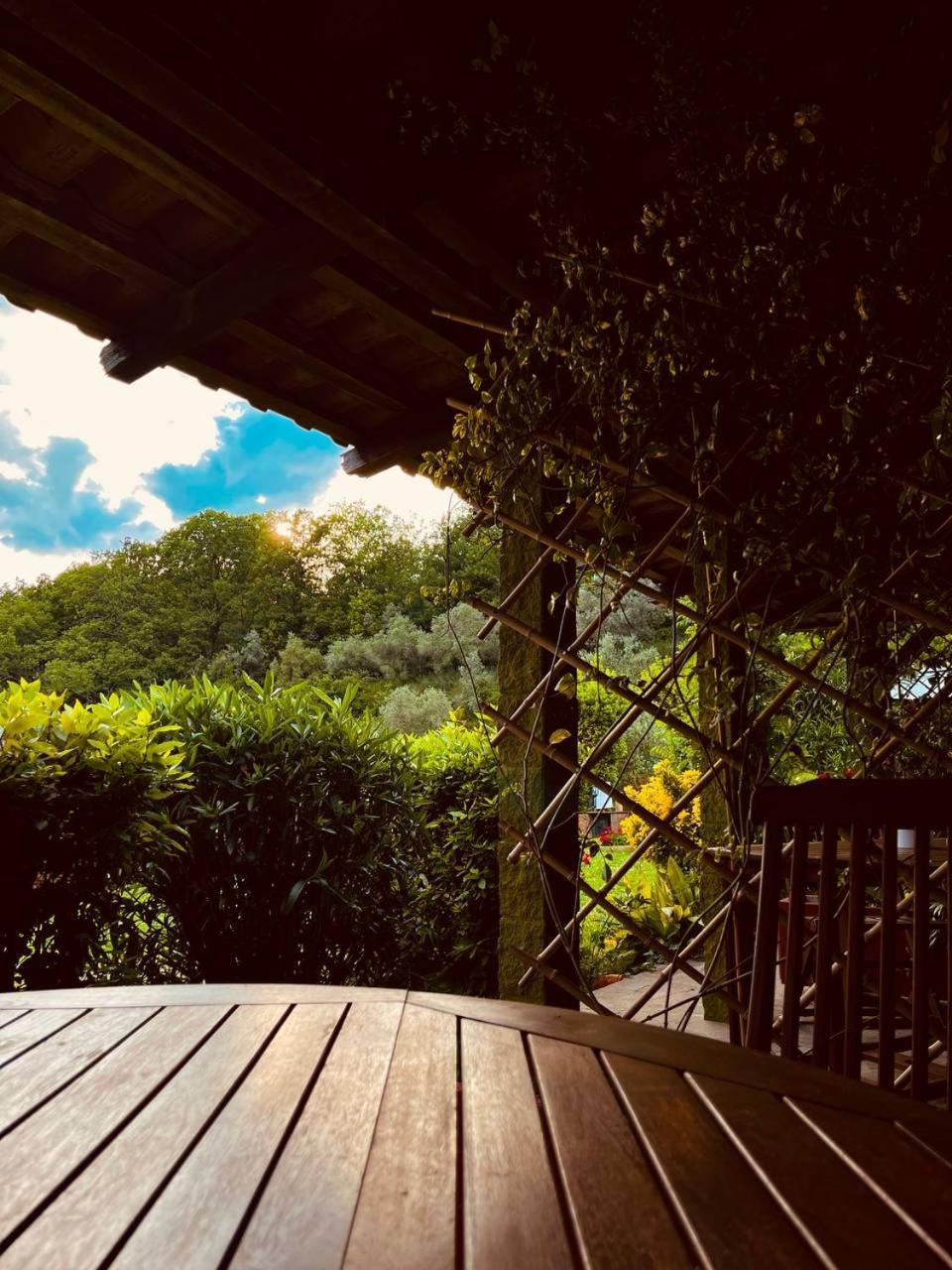 Casa Verde Country House Montescudaio Kültér fotó