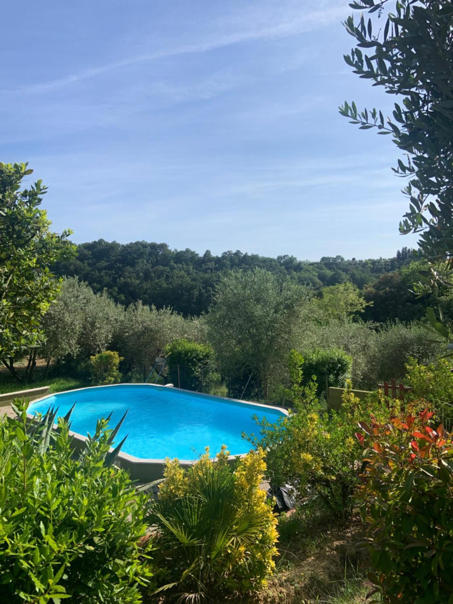 Casa Verde Country House Montescudaio Kültér fotó