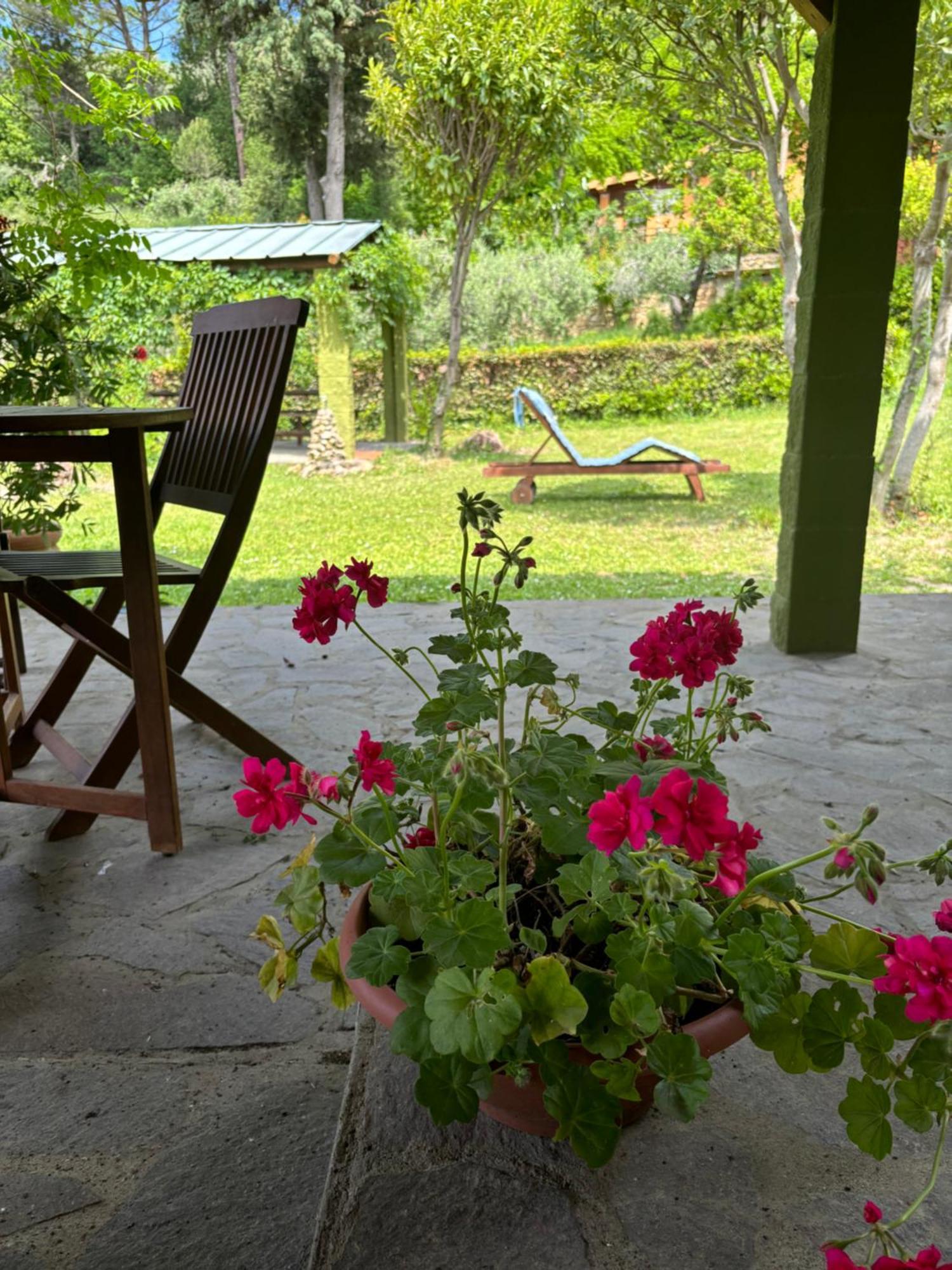 Casa Verde Country House Montescudaio Kültér fotó